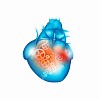 Human heart with cog and gear mechanisms against white background