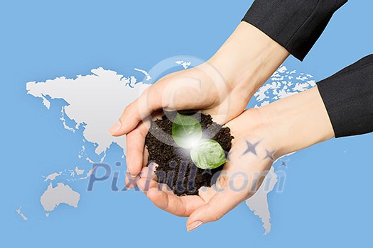 Young green sprout in human hands. Ecology concept Young green sprout in human hands. Ecology concept
