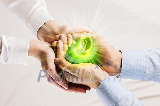 Young green sprout in human hands. Ecology concept Young green sprout in human hands. Ecology concept