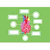heart system vector cartoon style for use