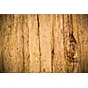 Wood background/texture (color toned image)