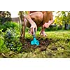 Pretty female gardener taking care of her lovely garden on a lovely spring day - cutting branches, double digging/loosening the soil with a spade