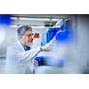 Senior male researcher carrying out scientific research in a lab (shallow DOF; color toned image)
