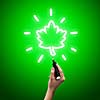Close up of human hand drawing maple leaf