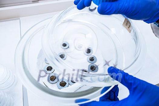 Hands of a researcher carrying out scientific research experiment in a lab (shallow DOF; color toned image) Hands of a researcher carrying out scientific research experiment in a lab (shallow DOF; color toned image)