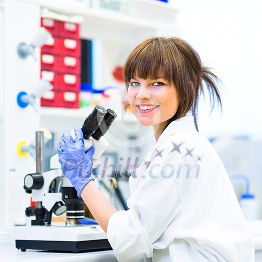 Portrait of a female researcher doing research in a lab (shallow DOF; color toned image) Portrait of a female researcher doing research in a lab (shallow DOF; color toned image)