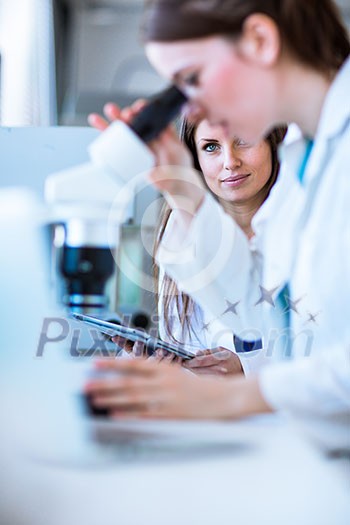 Portrait of a female researcher carrying out research in a chemistry lab (color toned image; shallow DOF) Portrait of a female researcher carrying out research in a chemistry lab (color toned image; shallow DOF)
