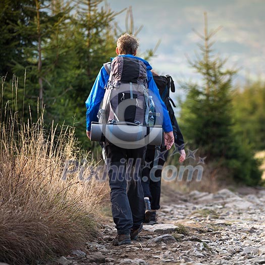People hiking - goiing down a lovely alpine path People hiking - goiing down a lovely alpine path