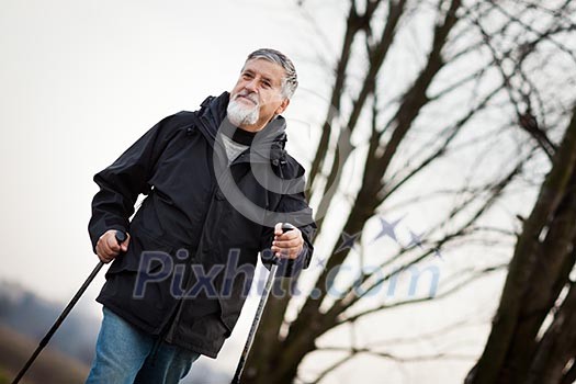 Senior man nordic walking, enjoying the outdoors, the fresh air, getting the necessary exercise Senior man nordic walking, enjoying the outdoors, the fresh air, getting the necessary exercise