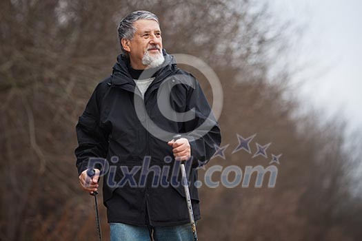 Senior man nordic walking, enjoying the outdoors, the fresh air, getting the necessary exercise Senior man nordic walking, enjoying the outdoors, the fresh air, getting the necessary exercise