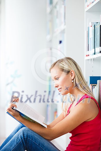 in the library - pretty female student with books working in a high school library (color toned image) in the library - pretty female student with books working in a high school library (color toned image)