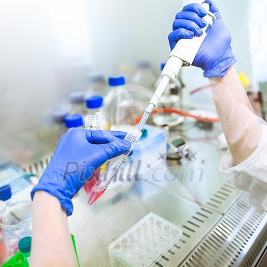 Portrait of a female researcher doing research in a lab (shallow DOF; color toned image) Portrait of a female researcher doing research in a lab (shallow DOF; color toned image)