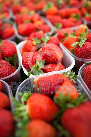 farmers market series - fresh strawberries