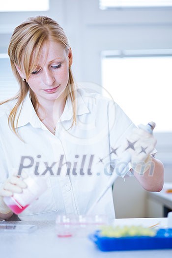 portrait of a female researcher doing research in a lab (color toned image; shallow DOF) portrait of a female researcher doing research in a lab (color toned image; shallow DOF)