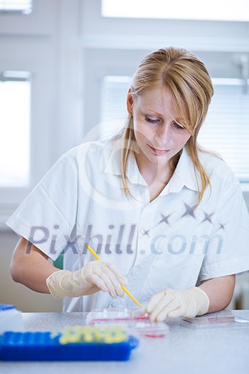 portrait of a female researcher doing research in a lab (color toned image; shallow DOF) portrait of a female researcher doing research in a lab (color toned image; shallow DOF)