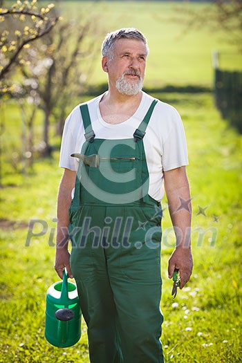 portrait of a senior gardener in his garden/orchard (color toned image) portrait of a senior gardener in his garden/orchard (color toned image)