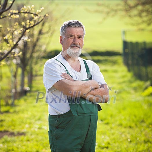 portrait of a senior gardener in his garden/orchard (color toned image) portrait of a senior gardener in his garden/orchard (color toned image)