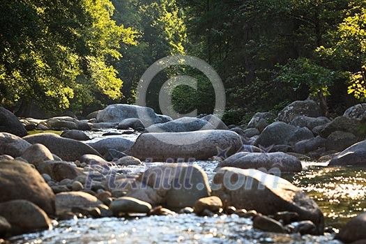 Mountain river in Restonica Valley, Corsica, France, lit by warm morning sunlight Mountain river in Restonica Valley, Corsica, France, lit by warm morning sunlight
