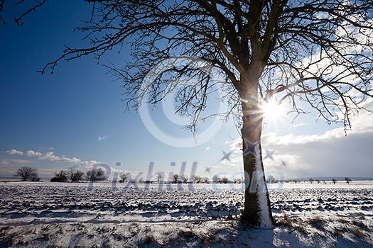 Lovely winter landcape on a sunny winter day Lovely winter landcape on a sunny winter day