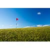 Red golf flag on a golf course, moving in the wind (motion blurred image); St. Andrews, Scotland