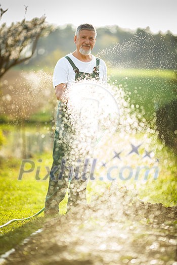 Portrait of a handsome senior man gardening in his garden, on a lovely spring day (color toned image) Portrait of a handsome senior man gardening in his garden, on a lovely spring day (color toned image)