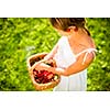 Beautiful young woman holding a basket filled with freshly picked cherries