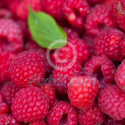 raspberries