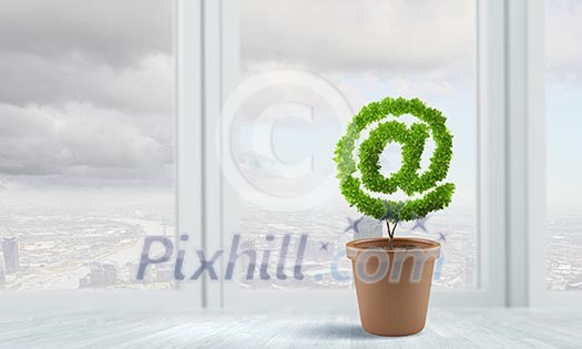 Conceptual image of green plant in pot Conceptual image of green plant in pot