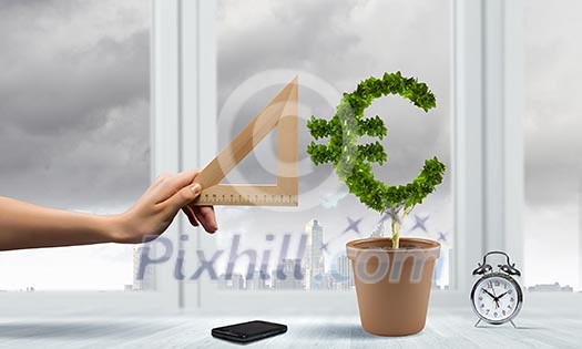 Conceptual image of green plant in pot Conceptual image of green plant in pot