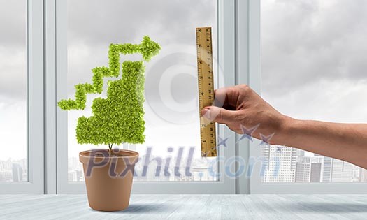 Conceptual image of green plant in pot Conceptual image of green plant in pot