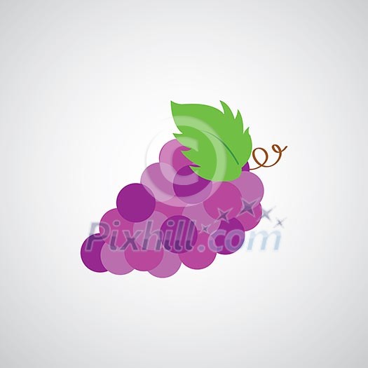wine grape vector cartoon on white background wine grape vector cartoon on white background