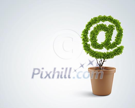 Image of human hand cutting leaves of pot plant Image of human hand cutting leaves of pot plant