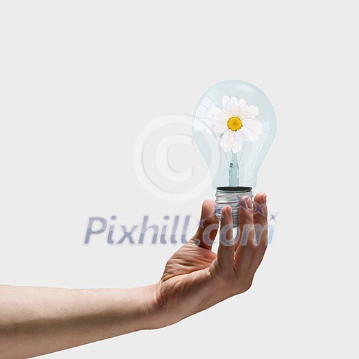 Image of human hand holding bulb with camomile inside Image of human hand holding bulb with camomile inside