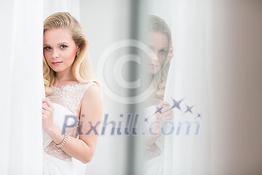 Gorgeous bride on her wedding day (color toned image; shallow DOF) Gorgeous bride on her wedding day (color toned image; shallow DOF)