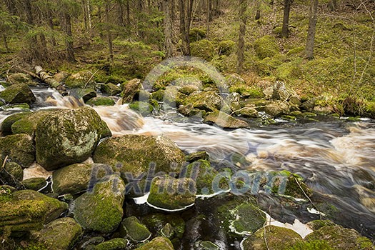 Long shutter stream shot in old forest Long shutter stream shot in old forest