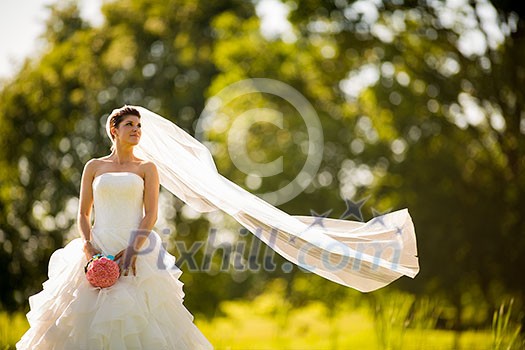 Gorgeous bride on her wedding day (color toned image; shallow DOF) Gorgeous bride on her wedding day (color toned image; shallow DOF)
