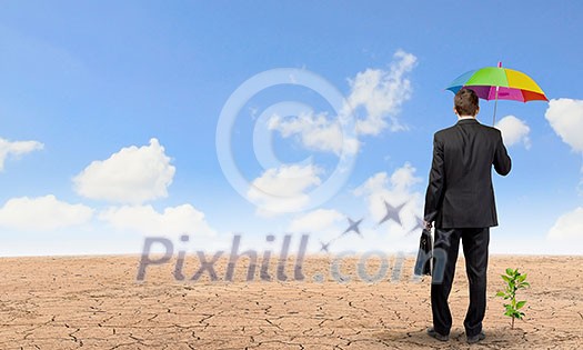 Rear view of businessman with umbrella protecting sprout Rear view of businessman with umbrella protecting sprout