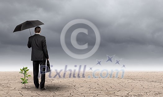 Rear view of businessman with umbrella protecting sprout Rear view of businessman with umbrella protecting sprout