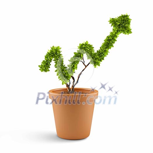 Plant in pot shaped like graph. Wealth concept Plant in pot shaped like graph. Wealth concept