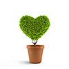 Image of plant in pot shaped like heart