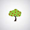 apple tree on gray background 