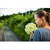 Young woman picking elderflower to make an infusion at home