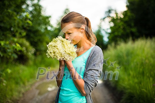 Young woman picking elderflower to make an infusion at home Young woman picking elderflower to make an infusion at home
