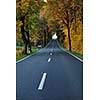 country road at autumn season with bright orange colors at morning sunrise