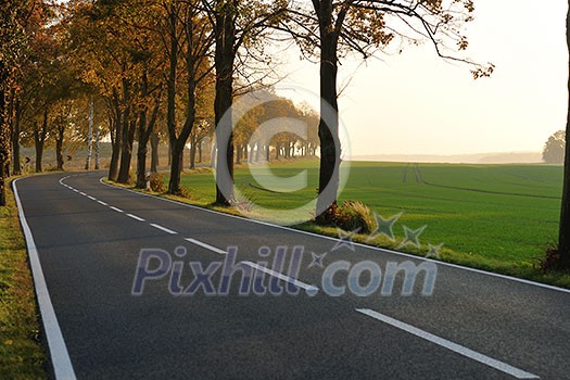 country road at autumn season with bright orange colors at morning sunrise country road at autumn season with bright orange colors at morning sunrise
