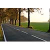 country road at autumn season with bright orange colors at morning sunrise