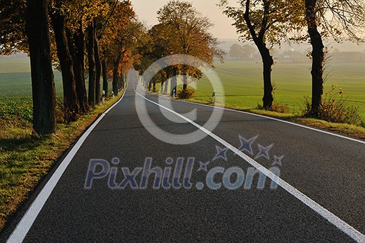 country road at autumn season with bright orange colors at morning sunrise country road at autumn season with bright orange colors at morning sunrise
