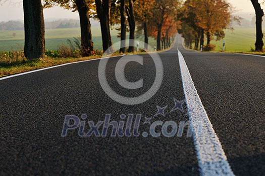 country road at autumn season with bright orange colors at morning sunrise country road at autumn season with bright orange colors at morning sunrise