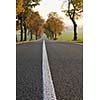 country road at autumn season with bright orange colors at morning sunrise
