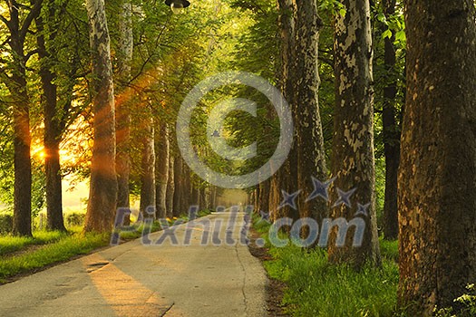 beautiful fresh morning with sun rays and dramatic light beautiful fresh morning with sun rays and dramatic light